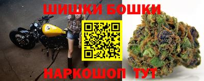 apvp Нальчик