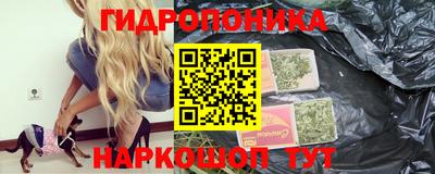 apvp Нальчик