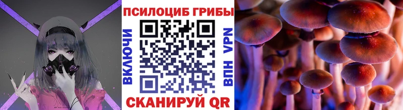 цена наркотик  Сочи  Псилоцибиновые грибы Cubensis 