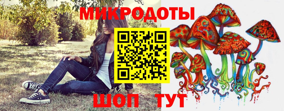 Сочи  Псилоцибиновые грибы прущие грибы  Вход с VPN 